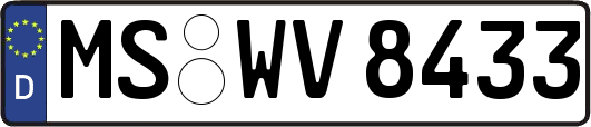 MS-WV8433