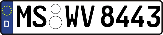MS-WV8443
