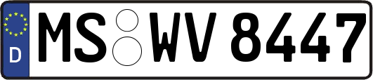 MS-WV8447