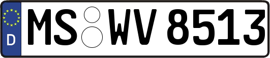 MS-WV8513