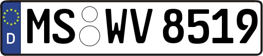 MS-WV8519
