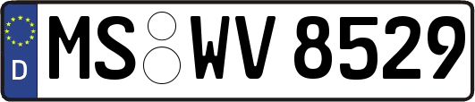 MS-WV8529
