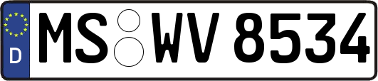 MS-WV8534