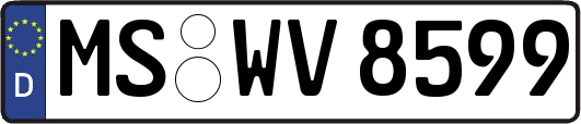 MS-WV8599