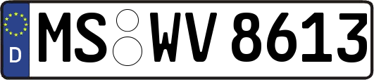 MS-WV8613