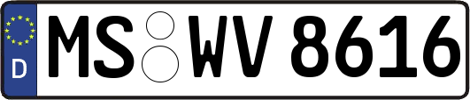 MS-WV8616