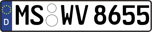 MS-WV8655