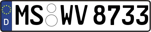 MS-WV8733