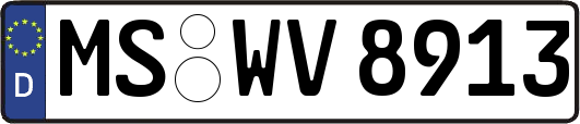 MS-WV8913