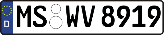 MS-WV8919