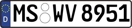 MS-WV8951