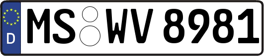 MS-WV8981