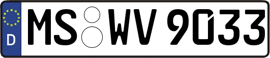 MS-WV9033