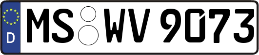 MS-WV9073