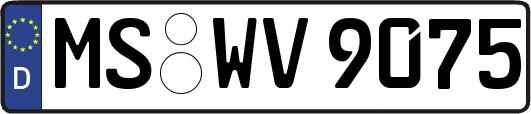 MS-WV9075