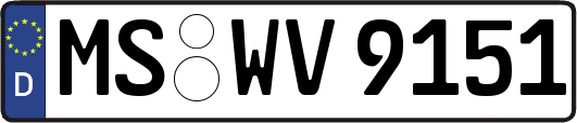 MS-WV9151