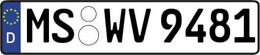 MS-WV9481