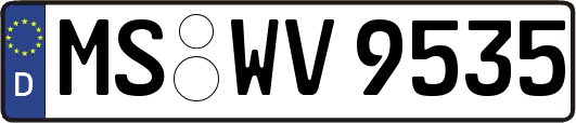 MS-WV9535