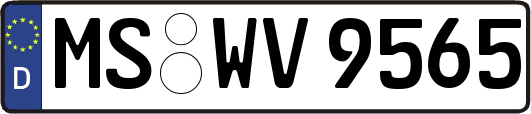 MS-WV9565