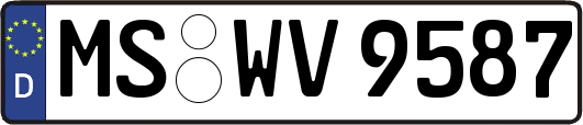 MS-WV9587