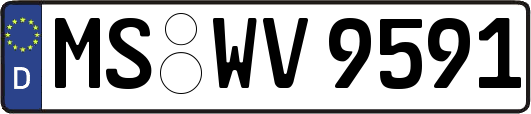 MS-WV9591
