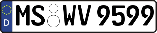 MS-WV9599