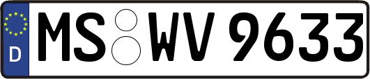 MS-WV9633