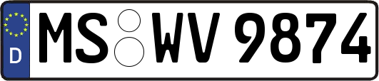MS-WV9874