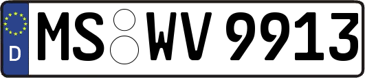 MS-WV9913