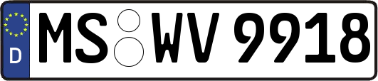 MS-WV9918