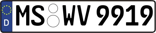 MS-WV9919