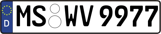 MS-WV9977