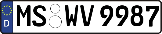 MS-WV9987