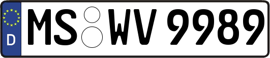 MS-WV9989