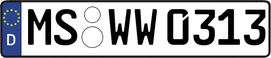MS-WW0313