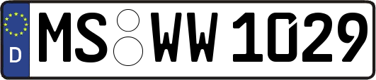 MS-WW1029