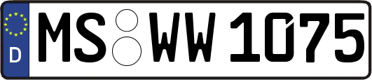 MS-WW1075