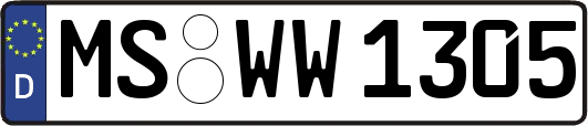 MS-WW1305
