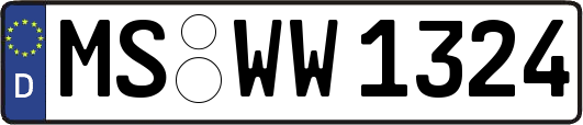 MS-WW1324