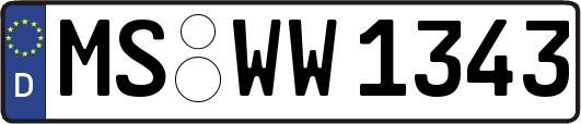 MS-WW1343
