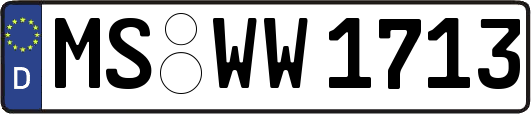 MS-WW1713