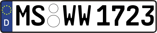 MS-WW1723