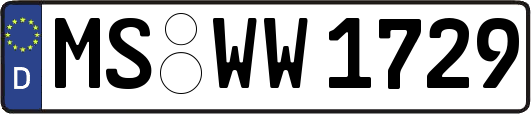 MS-WW1729