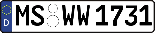 MS-WW1731
