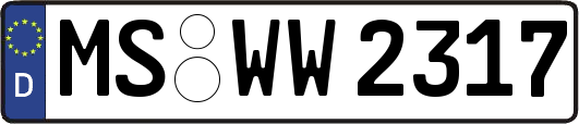 MS-WW2317