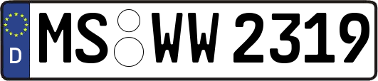 MS-WW2319