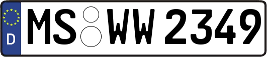 MS-WW2349