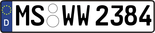 MS-WW2384
