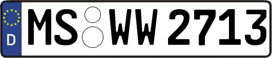 MS-WW2713