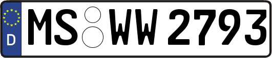 MS-WW2793